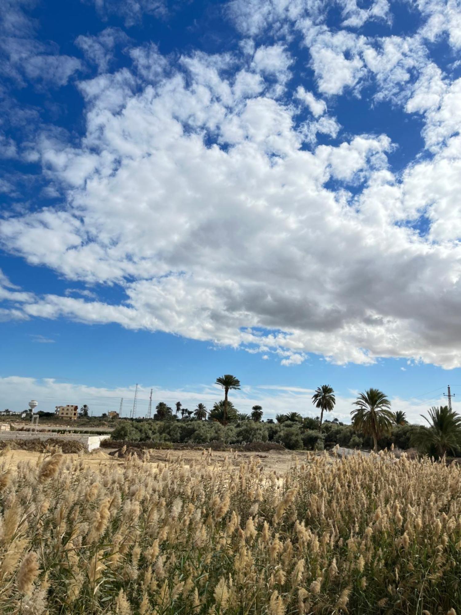 Lake House By Tunisia Green Resort Qaryat at Ta'mir as Siyahiyah エクステリア 写真